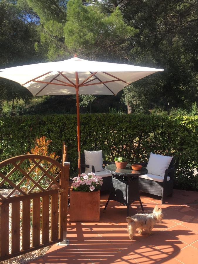 Holiday home Caseta De Fusta Aiguafreda